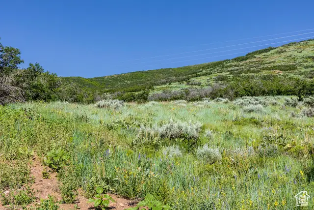 926 S Upland Loop #20, Midway, UT 84049 - Image #3