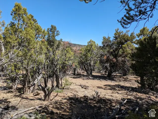 0 S 39300 W #58, Fruitland, UT 84027 - Image #1