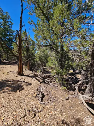 0 S 39300 W #58, Fruitland, UT 84027 - Image #3