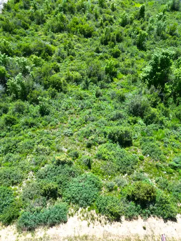 86 Calamity Dr, Fish Haven, ID 83287 - Image #3