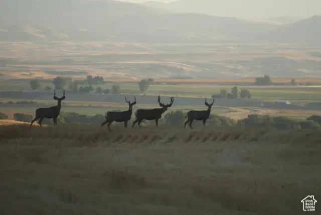 4800 S 5400 W, Weston, ID 83286 - Image #1