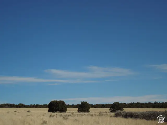 20 W Sunrise Country Rd #20, Monticello, UT 84535 - Image #3