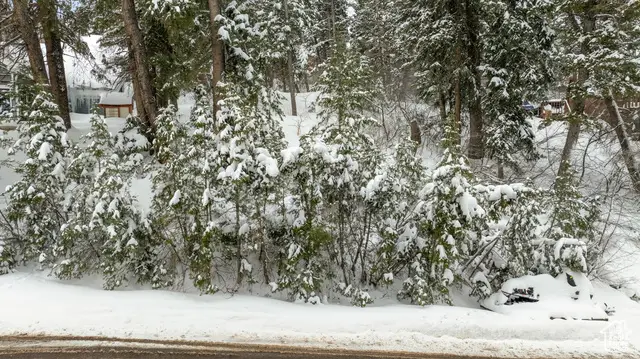 156 Lower Evergreen Dr #8, Park City, UT 84098 - Image #3