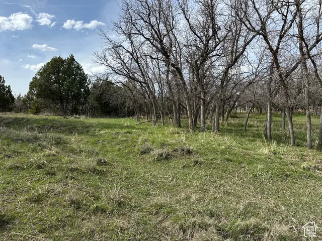 216 Whispering #216, Mount Pleasant, UT 84647 - Image #3