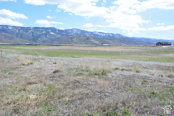 #22, Grace, ID 83241