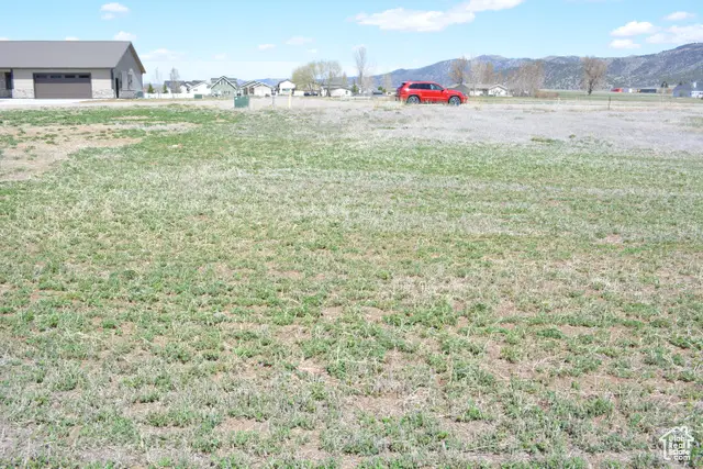 #22, Grace, ID 83241 - Image #2