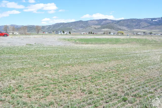 #22, Grace, ID 83241 - Image #3