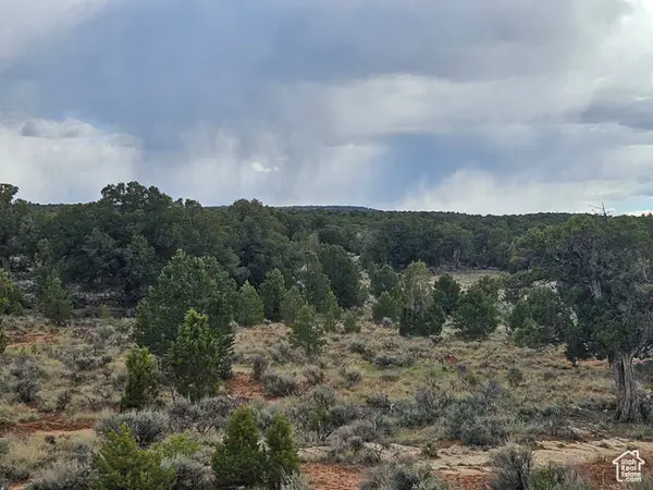 #7, Fruitland, UT 84027