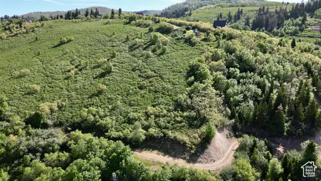 23206 N 14136 E #131, Fairview, UT 84629 - Image #1