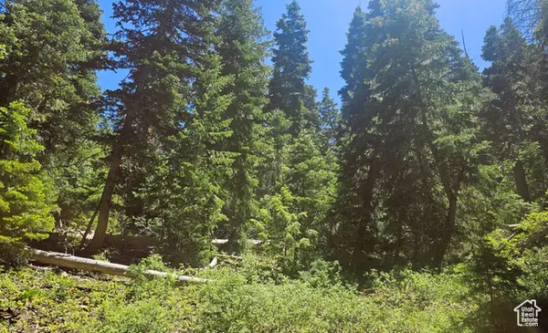 55 Timber Ridge Rd #A55, Mt Pleasant, UT 84647