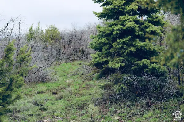 14055 S Oak Ridge Cir #143, Mt Pleasant, UT 84647