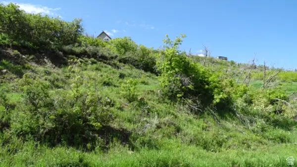 1775 S Beaver Bench Rd #1424, Heber City, UT 84032