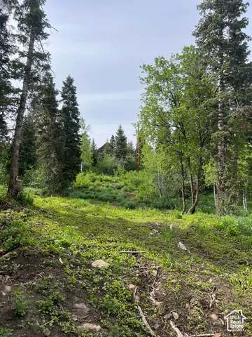 195 Saint Moritz Strasse #87, Park City, UT 84098 - #3