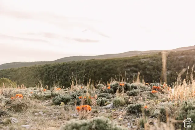 2650 W Taylor Mtn Rd #2,3,4,, Vernal, UT 84078 - Image #1