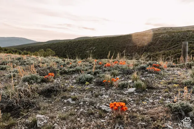 3895 W 9000 N #1,2,3,, Vernal, UT 84078 - Image #1