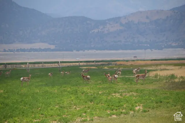 Address Withheld By Seller, Kanosh, UT 84637 - Image #2