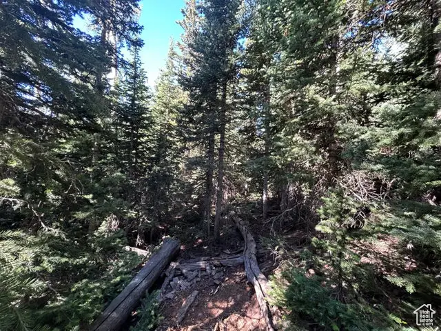 Address Withheld By Seller, Brian Head, UT 84719 - Image #1