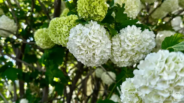 874 W 300 S, Vernal, UT 84078 - Image #3