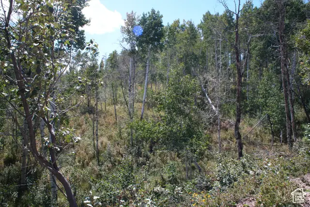 2481 Forest Meadow Rd #D91, Wanship, UT 84017 - Image #2