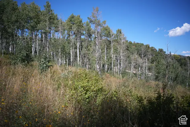 2481 Forest Meadow Rd #D91, Wanship, UT 84017 - Image #3