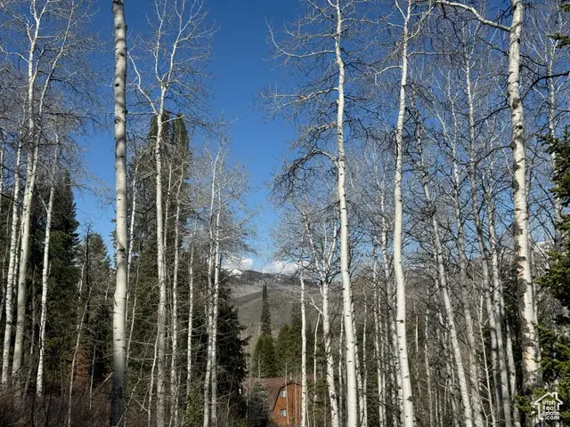 663 Red Fir Way #663, Oakley, UT 84055 - Image #3