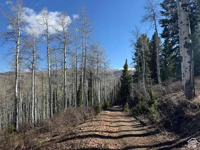 662 Red Fir Way #662, Oakley, UT 84055 - Image #3