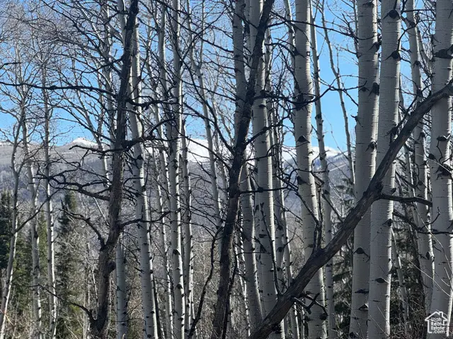 661 Red Fir Way #661, Oakley, UT 84055 - #2