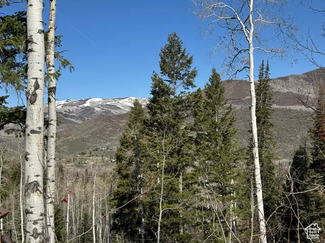 661 Red Fir Way #661, Oakley, UT 84055 - #3