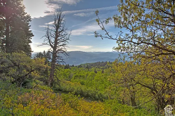 1986 S Pine Meadow Dr E #DMS-2, Coalville, UT 84017