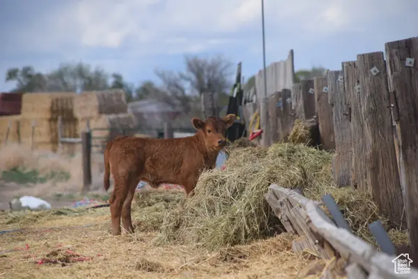 Address Withheld By Seller, Delta, UT 84624