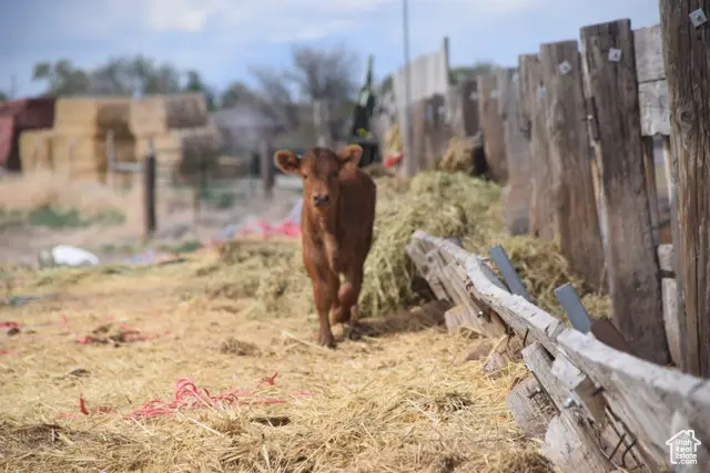 Address Withheld By Seller, Delta, UT 84624 - Image #2