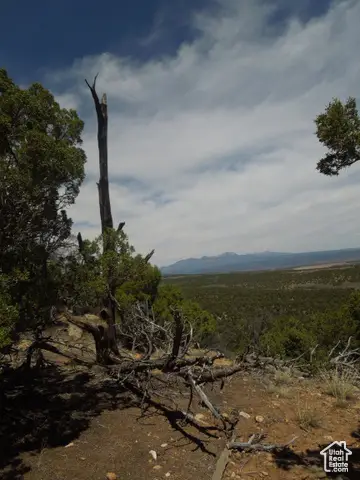 13 Sunrise Country Rd #13, Monticello, UT 84535