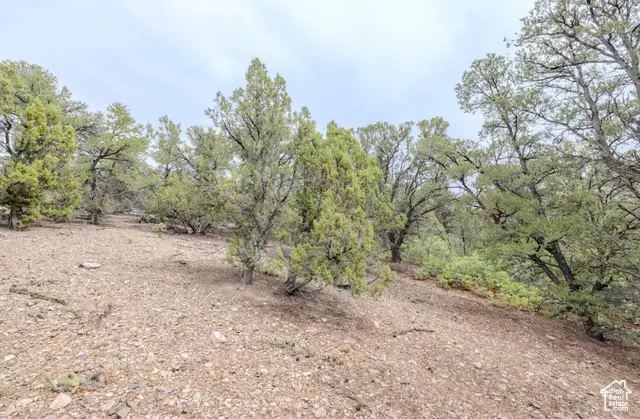 292 E Highway 89 #12, Indianola, UT 84629 - Image #3