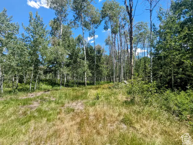 10579 E Fir Run Dr #735, Heber City, UT 84032 - Image #1