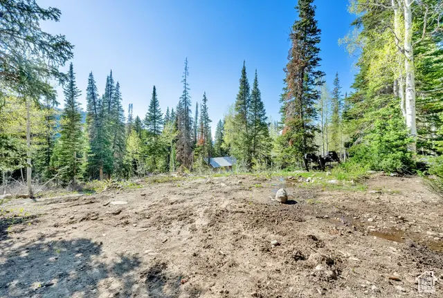 8041 S Old Prospect Ave, Brighton, UT 84121 - Image #2