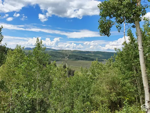 103 Brooks Canyon Rd #GB 103, Fairview, UT 84629 - Image #2