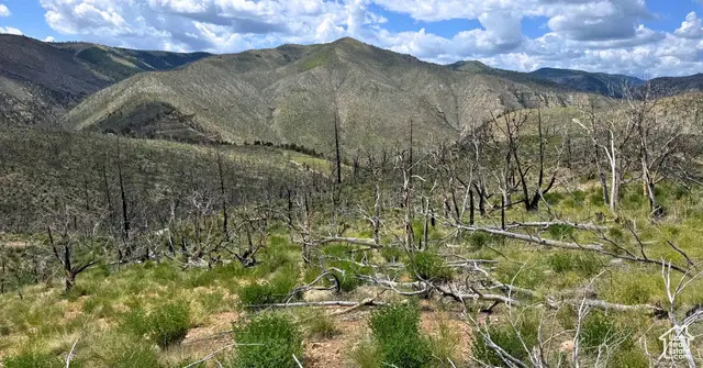 #5, Fruitland, UT 84027 - Image #3