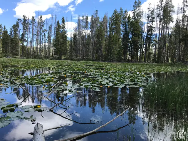 2045 Stillwater Loop #18, Kamas, UT 84036 - Image #1