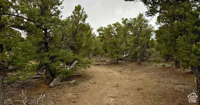 Address Withheld By Seller, Rush Valley, UT 84645 - Image #2