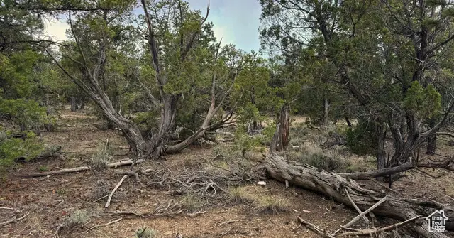 Address Withheld By Seller, Rush Valley, UT 84645 - Image #3