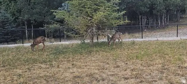 1007 S Summit Creek Dr #168, Woodland Hills, UT 84653 - #2