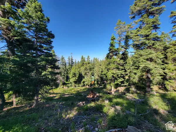 6220 W Brook Ln, Duck Creek Village, UT 84762