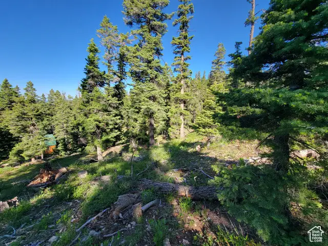 6220 W Brook Ln, Duck Creek Village, UT 84762 - Image #2