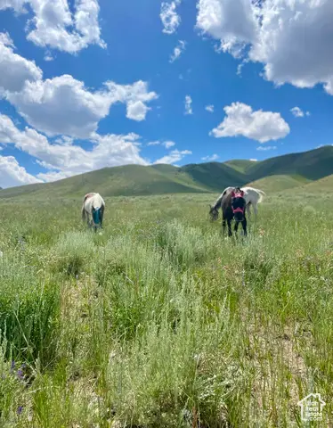 25 Stansbury Agricultural Propert #25, Grantsville, UT 84029