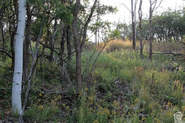 1421 S Beaver Bench E #1421, Heber City, UT 84032