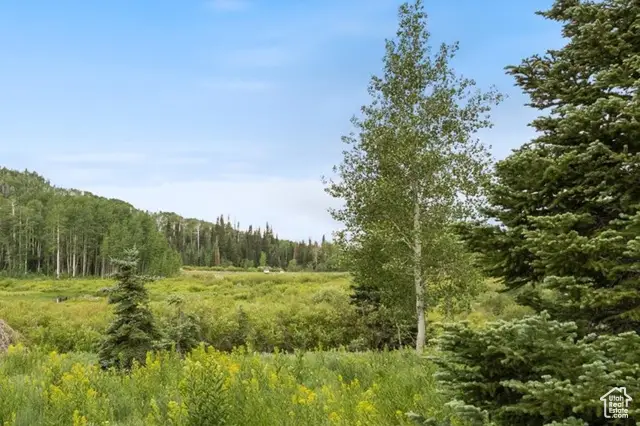 4372 S Buck Way #2003, Heber City, UT 84032 - Image #1