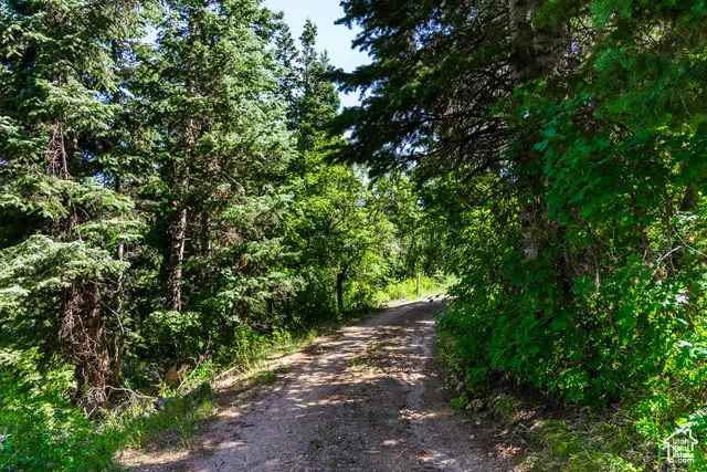 951 Hidden Cir #D119, Wanship, UT 84017 - #1