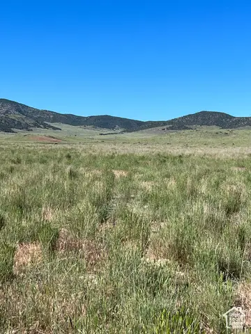 Address Withheld By Seller, Levan, UT 84639