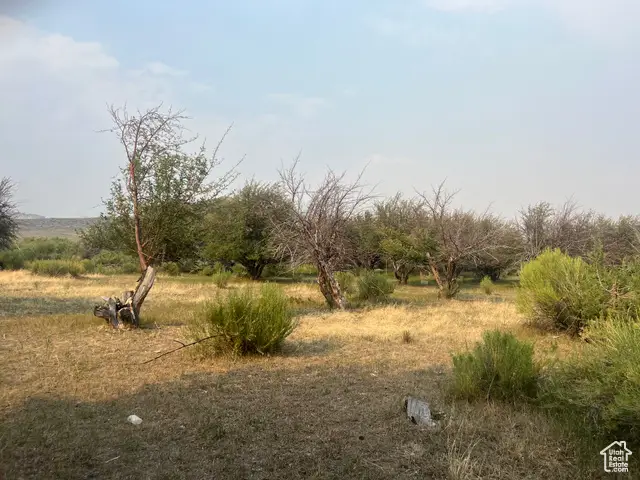 640 W Bryce Way, Tropic, UT 84776 - Image #2