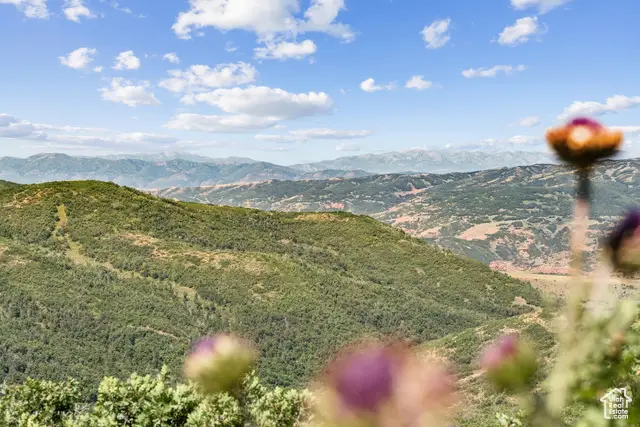 10976 Skyline Rd #202, Echo, UT 84024 - Image #2